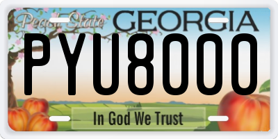 GA license plate PYU8000