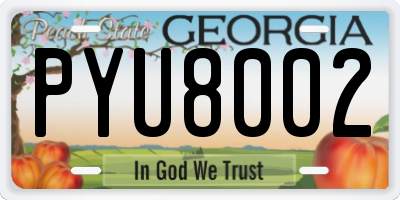 GA license plate PYU8002