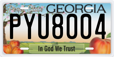 GA license plate PYU8004