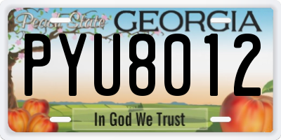 GA license plate PYU8012