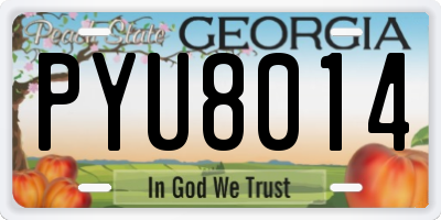 GA license plate PYU8014