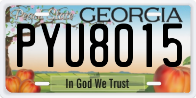 GA license plate PYU8015