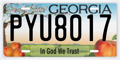GA license plate PYU8017