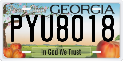 GA license plate PYU8018