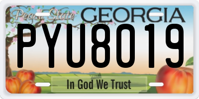 GA license plate PYU8019