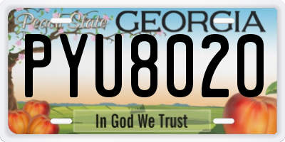 GA license plate PYU8020