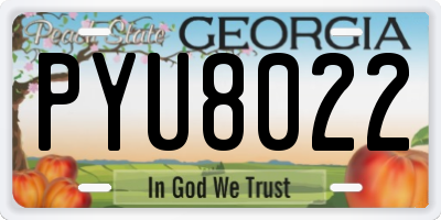 GA license plate PYU8022