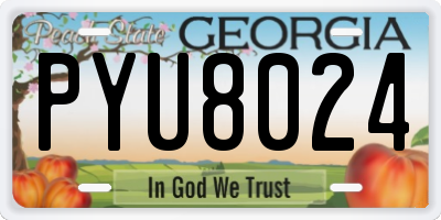 GA license plate PYU8024