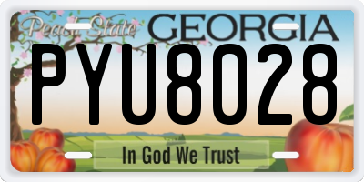 GA license plate PYU8028