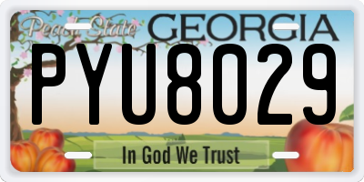 GA license plate PYU8029