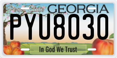 GA license plate PYU8030