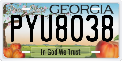 GA license plate PYU8038