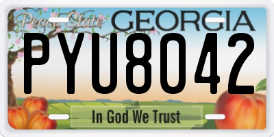 GA license plate PYU8042