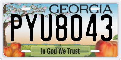 GA license plate PYU8043