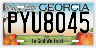 GA license plate PYU8045