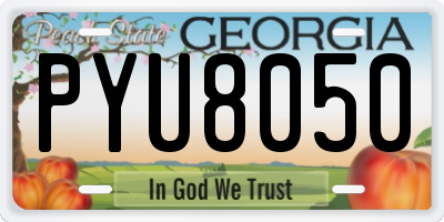 GA license plate PYU8050