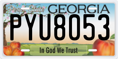GA license plate PYU8053