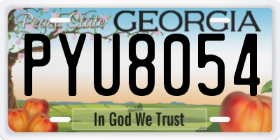 GA license plate PYU8054