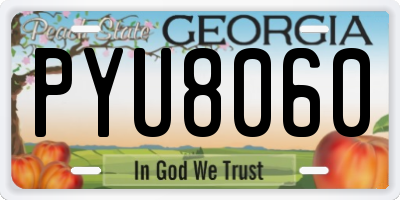 GA license plate PYU8060