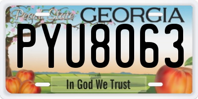 GA license plate PYU8063