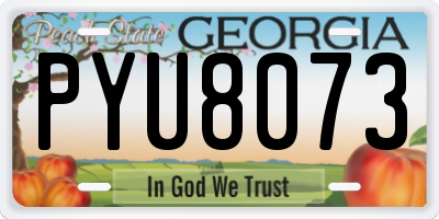 GA license plate PYU8073