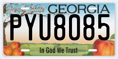 GA license plate PYU8085