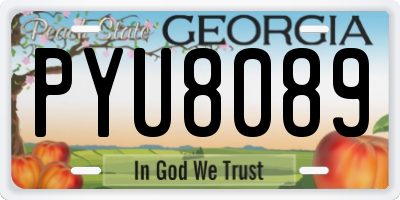GA license plate PYU8089