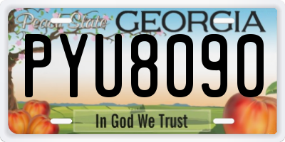 GA license plate PYU8090