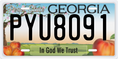 GA license plate PYU8091