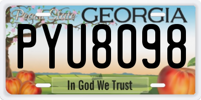 GA license plate PYU8098