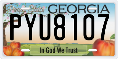 GA license plate PYU8107