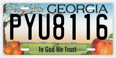 GA license plate PYU8116