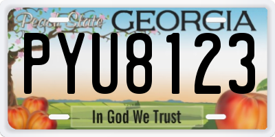 GA license plate PYU8123