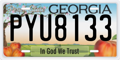 GA license plate PYU8133