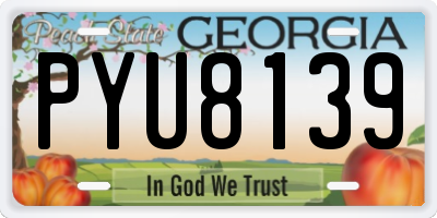 GA license plate PYU8139