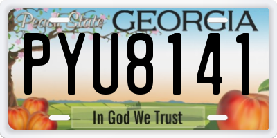 GA license plate PYU8141