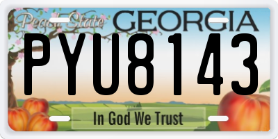 GA license plate PYU8143