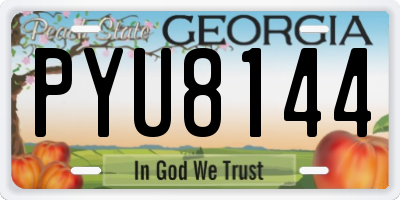 GA license plate PYU8144