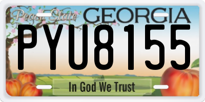 GA license plate PYU8155