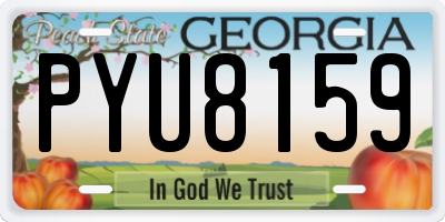 GA license plate PYU8159