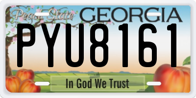 GA license plate PYU8161