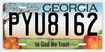 GA license plate PYU8162