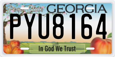 GA license plate PYU8164