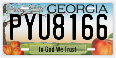 GA license plate PYU8166
