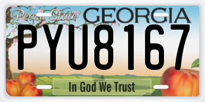 GA license plate PYU8167