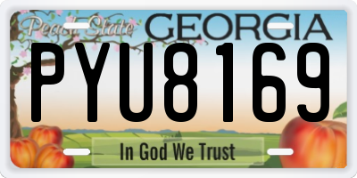 GA license plate PYU8169
