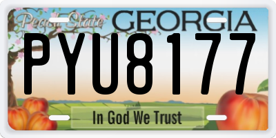 GA license plate PYU8177