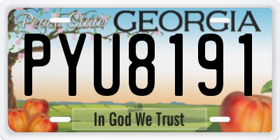 GA license plate PYU8191