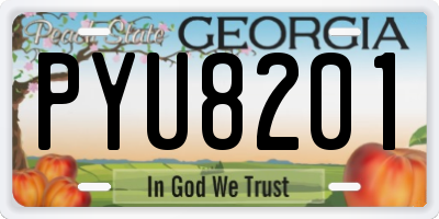 GA license plate PYU8201