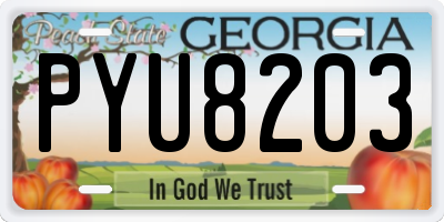 GA license plate PYU8203